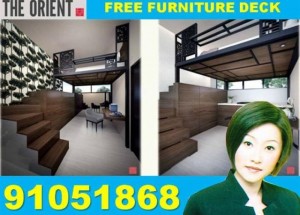 Apartment / Condo For SALE – The Oriental – 3 min to Haw Par Villa MRT (D05)